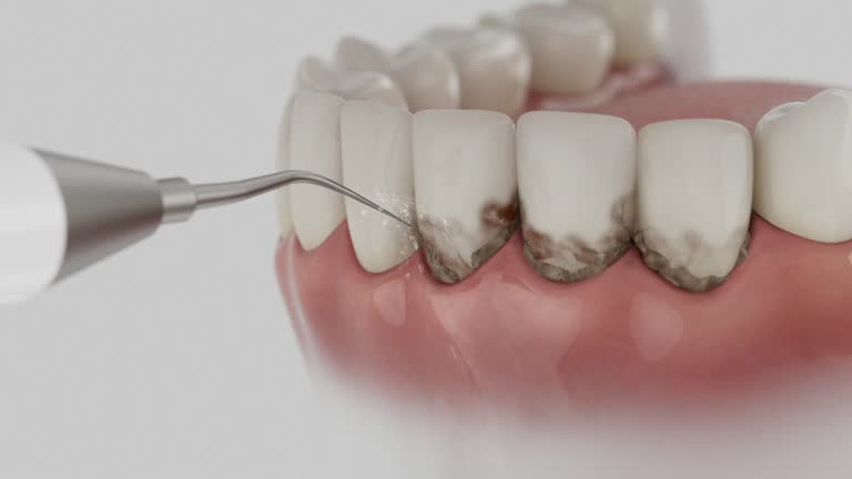 Reliable Emergency Dentist contractor in Manassas Park city County, VA by Dentist Open Now